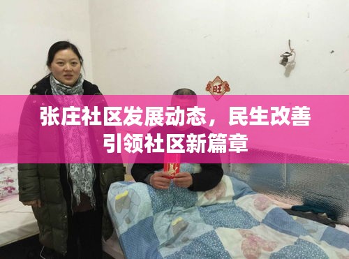 张庄社区发展动态，民生改善引领社区新篇章