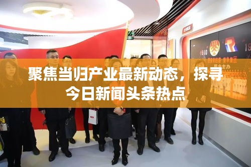聚焦当归产业最新动态，探寻今日新闻头条热点