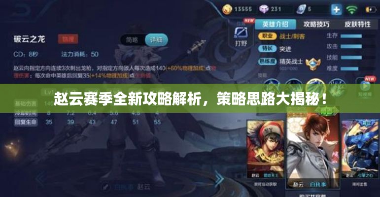 赵云赛季全新攻略解析，策略思路大揭秘！