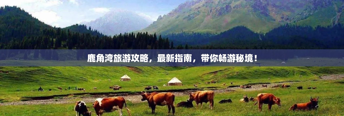 鹿角湾旅游攻略，最新指南，带你畅游秘境！