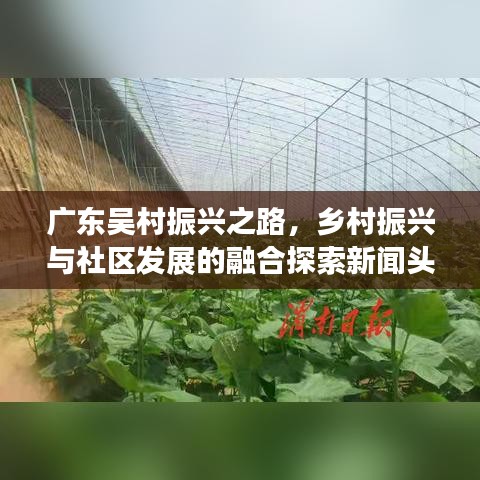广东吴村振兴之路，乡村振兴与社区发展的融合探索新闻头条