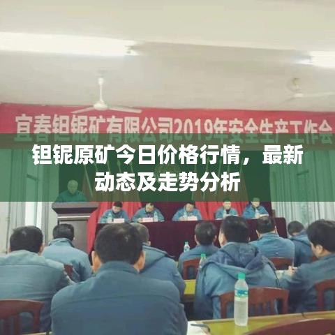 钽铌原矿今日价格行情，最新动态及走势分析