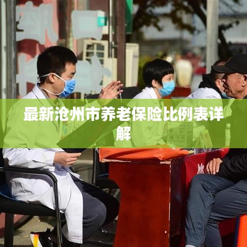最新沧州市养老保险比例表详解