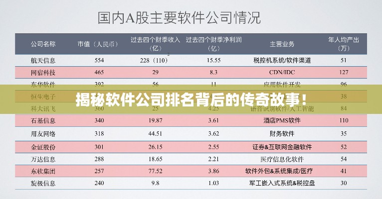 揭秘软件公司排名背后的传奇故事！