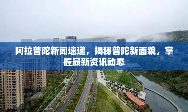 阿拉普陀新闻速递，揭秘普陀新面貌，掌握最新资讯动态