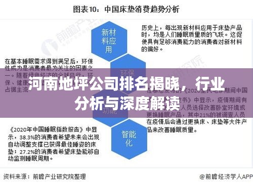 河南地坪公司排名揭晓，行业分析与深度解读