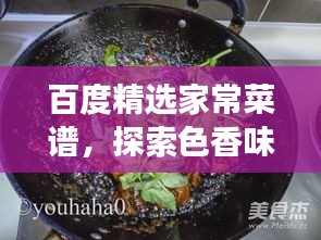 百度精选家常菜谱，探索色香味俱佳的美食之旅（详细步骤与图片指引）
