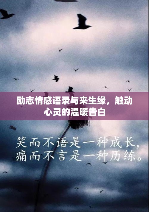 励志情感语录与来生缘，触动心灵的温暖告白