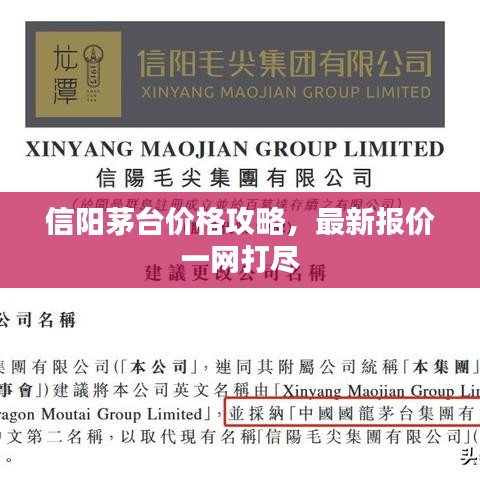信阳茅台价格攻略，最新报价一网打尽