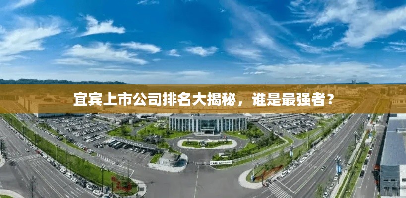 宜宾上市公司排名大揭秘，谁是最强者？