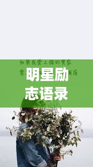 明星励志语录，照亮人生旅途的星光璀璨之言