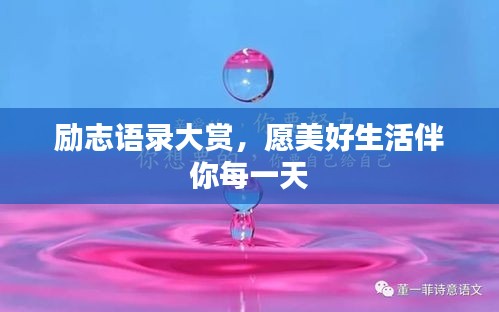 励志语录大赏，愿美好生活伴你每一天