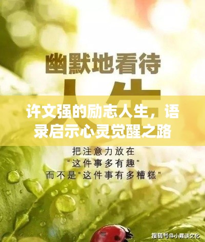 许文强的励志人生，语录启示心灵觉醒之路