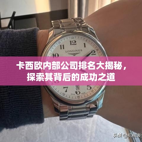 卡西欧内部公司排名大揭秘，探索其背后的成功之道