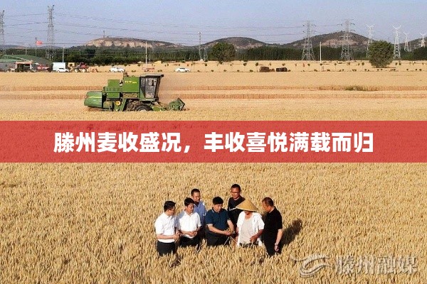 法不阿贵 第2页