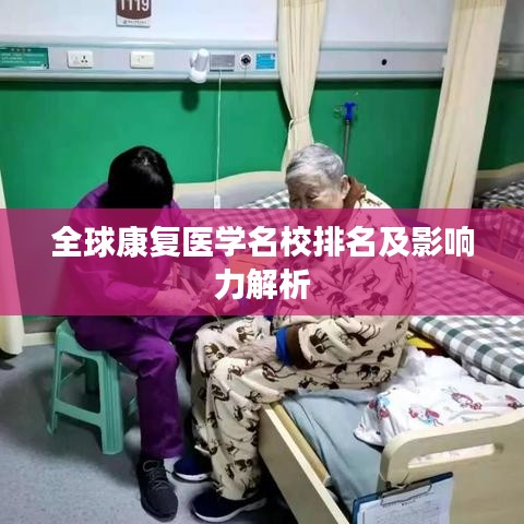 全球康复医学名校排名及影响力解析