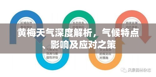 黄梅天气深度解析，气候特点、影响及应对之策