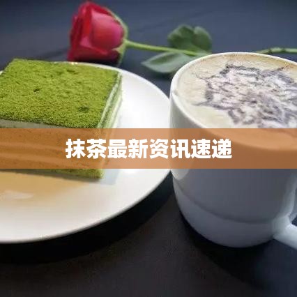 抹茶最新资讯速递