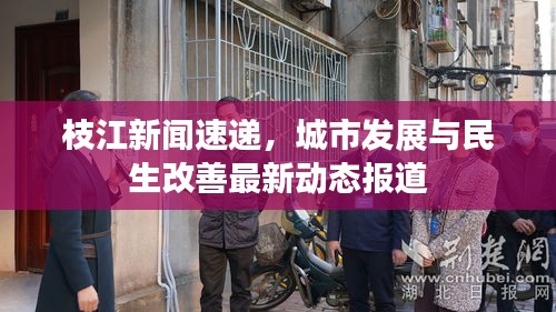 枝江新闻速递，城市发展与民生改善最新动态报道
