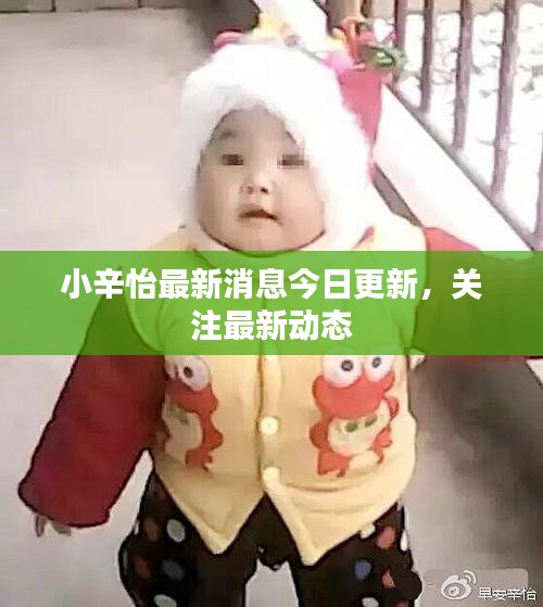小辛怡最新消息今日更新，关注最新动态
