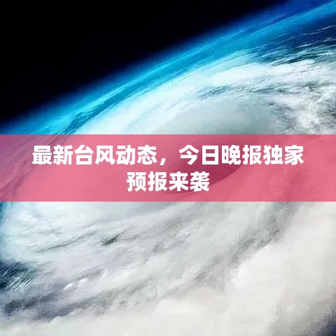最新台风动态，今日晚报独家预报来袭