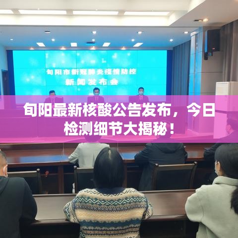旬阳最新核酸公告发布，今日检测细节大揭秘！