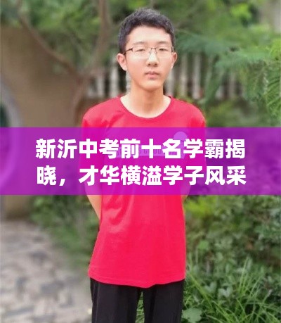 新沂中考前十名学霸揭晓，才华横溢学子风采一览无余