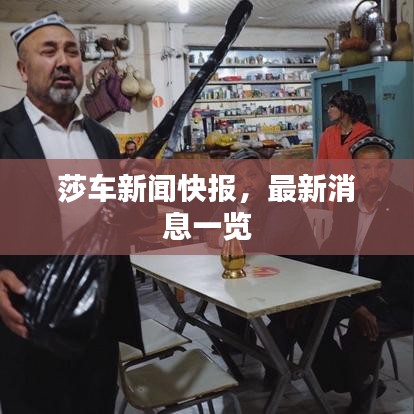 莎车新闻快报，最新消息一览