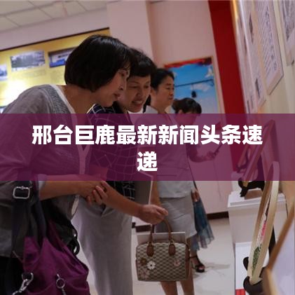 邢台巨鹿最新新闻头条速递