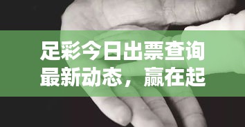 足彩今日出票查询最新动态，赢在起跑线！最新资讯一网打尽