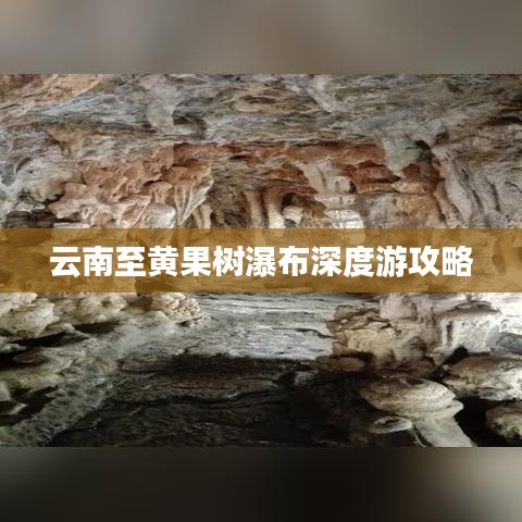 堂堂正正 第2页
