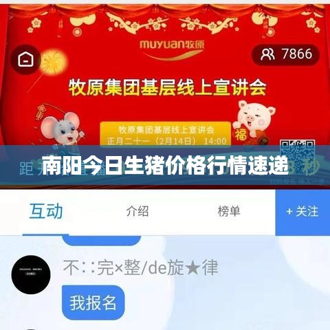南阳今日生猪价格行情速递