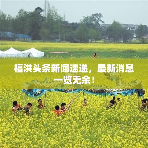 福洪头条新闻速递，最新消息一览无余！