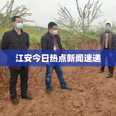 江安今日热点新闻速递