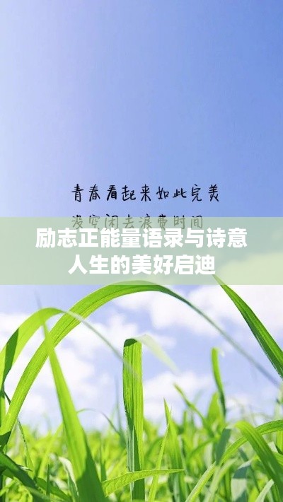 励志正能量语录与诗意人生的美好启迪