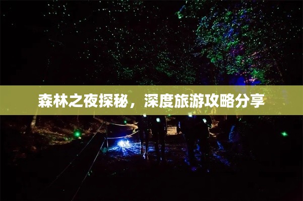 森林之夜探秘，深度旅游攻略分享