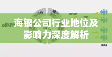 海银公司行业地位及影响力深度解析