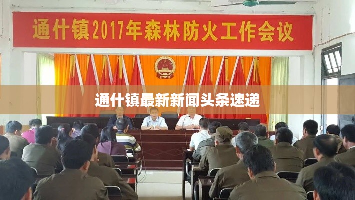 通什镇最新新闻头条速递