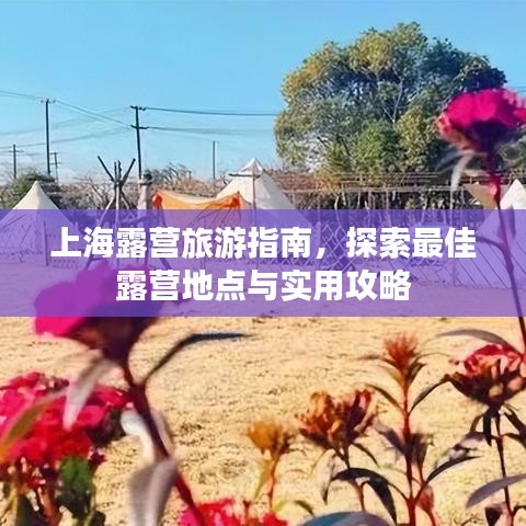 上海露营旅游指南，探索最佳露营地点与实用攻略