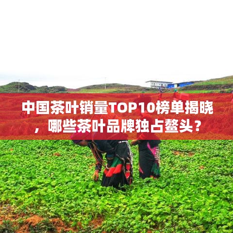 中国茶叶销量TOP10榜单揭晓，哪些茶叶品牌独占鳌头？