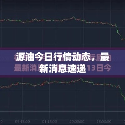 源油今日行情动态，最新消息速递