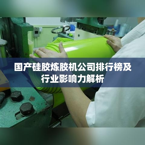 国产硅胶炼胶机公司排行榜及行业影响力解析