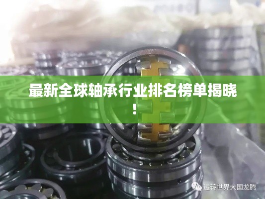 最新全球轴承行业排名榜单揭晓！