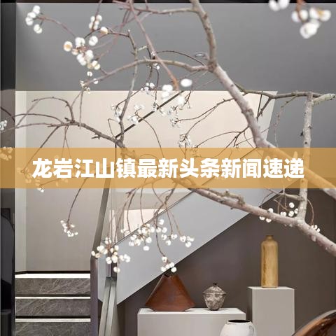 龙岩江山镇最新头条新闻速递