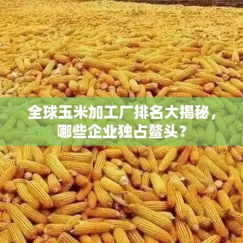 全球玉米加工厂排名大揭秘，哪些企业独占鳌头？