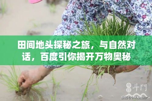 田间地头探秘之旅，与自然对话，百度引你揭开万物奥秘
