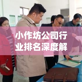 小作坊公司行业排名深度解析，行业地位与竞争力评估