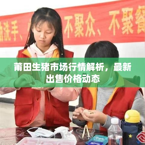 莆田生猪市场行情解析，最新出售价格动态