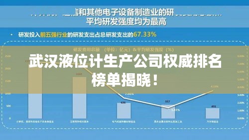 武汉液位计生产公司权威排名榜单揭晓！