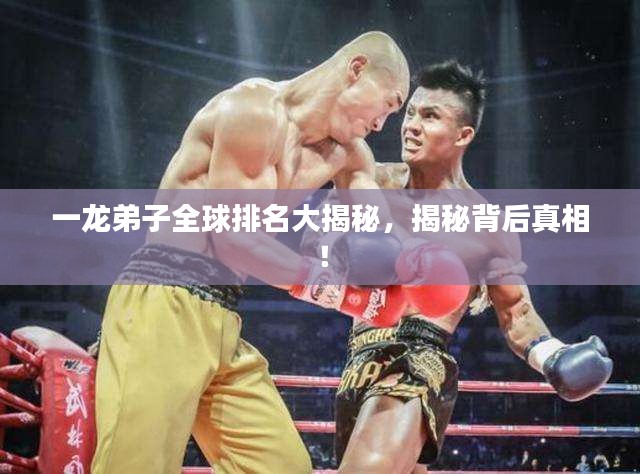 一龙弟子全球排名大揭秘，揭秘背后真相！